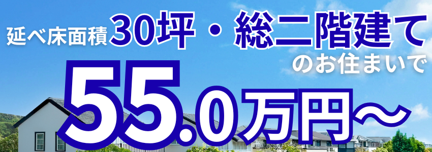 延べ床面積30坪、総二階建て55万円～
