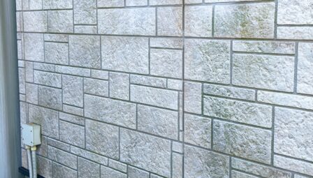 外壁にコケ・カビが生える原因と対処法