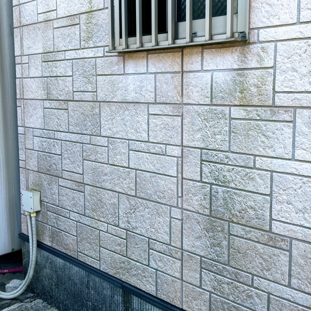 外壁の生殖したカビ