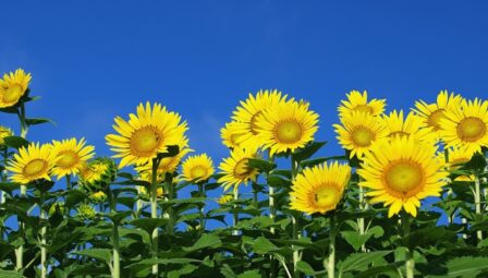 夏・冬の外壁塗装は問題ない？夏と冬に外壁塗装を依頼する際の注意点