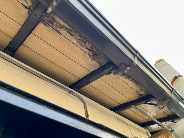 カビが繁殖した軒天