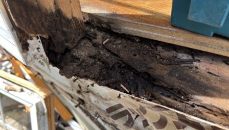外壁塗装で追加費用が発生するケースとは